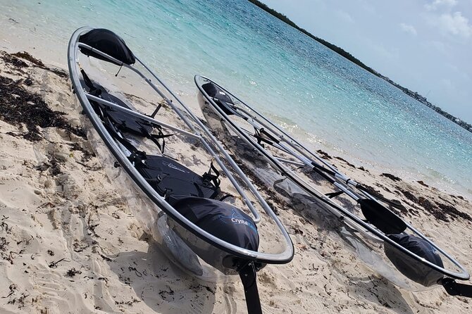 Clear Kayak Mangrove Eco Tour - Who This Tour Fits Best, and Who Should Consider Alternatives