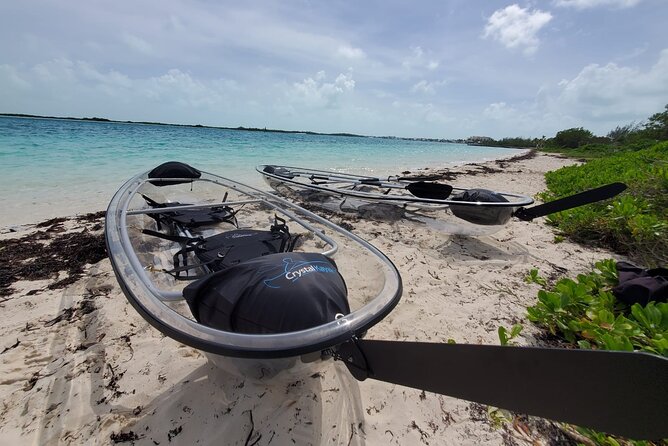 Clear Kayak Mangrove Eco Tour - Should You Book Clear Kayak Mangrove Eco Tour in Providenciales?
