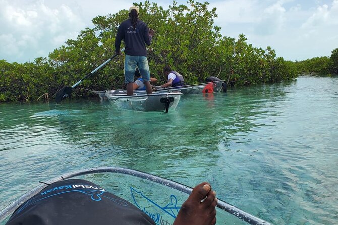Clear Kayak Mangrove Eco Tour - FAQ