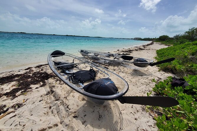 Clear Kayak Mangrove Eco Tour - Half Moon Bay Paddle, What the 2-Hour Ride Feels Like