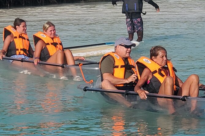 Clear Kayak Tour in Turks & Caicos Islands - Stop 1: the mangrove waterways and the wildlife people hope for