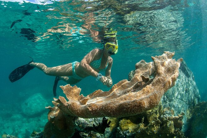 Deluxe Half-Day Snorkel Sail on Lady Grace Luxury Catamaran - The crew and safety vibe, including the captain spotlight