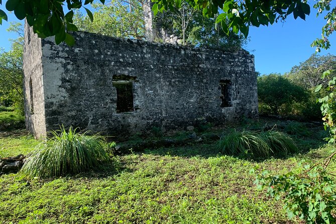 Discovery Tour and Treasure Hunt ( North and Middle Caicos) - Cottage Pond blue hole: short stop, big geologic payoff