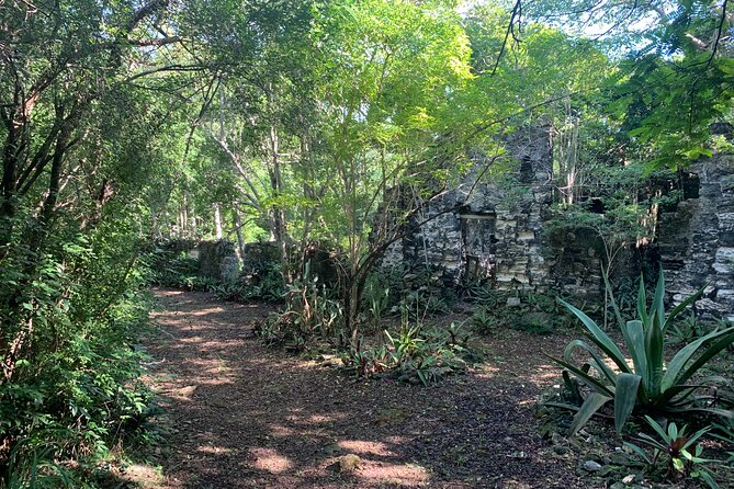 Discovery Tour and Treasure Hunt ( North and Middle Caicos) - Wade’s Green Plantation: history stop that depends on weather and timing