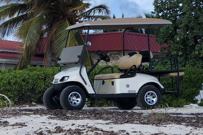 Drive GDT - Golf Cart Rentals - Price and value, what $110 per group really buys you