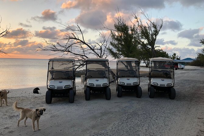 Drive GDT - Golf Cart Rentals - What your one-day “independent” itinerary can look like