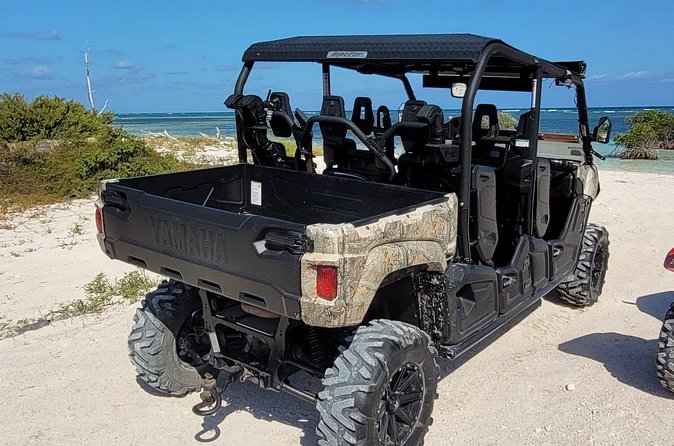 Family Adventure Buggy - What the Ride Actually Feels Like on Grand Turk