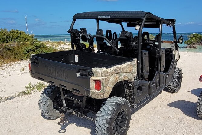 Family Adventure Buggy - Price and Value: When $270 Per Group Feels Right