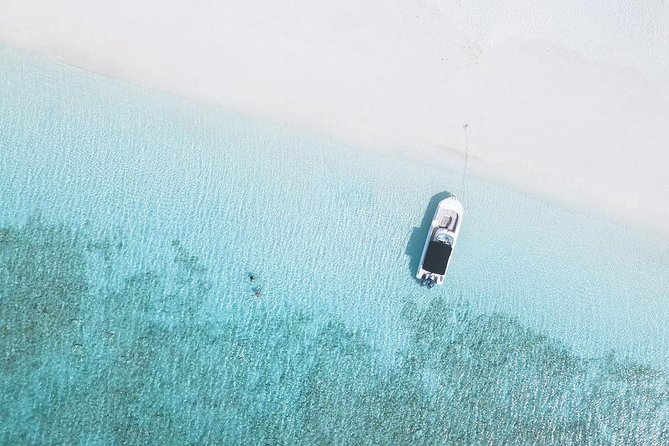 Full day 7hours- beach bbq, snorkel, Iguana island, half moon bay pine cay, Fun! - Who should book this private boat day, and who should pass