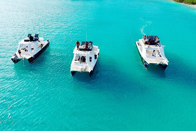 Full Day Beach BBQ Lunch & Snorkeling Excursion in Grace Bay - BBQ lunch on the beach: what it feels like and what to bring
