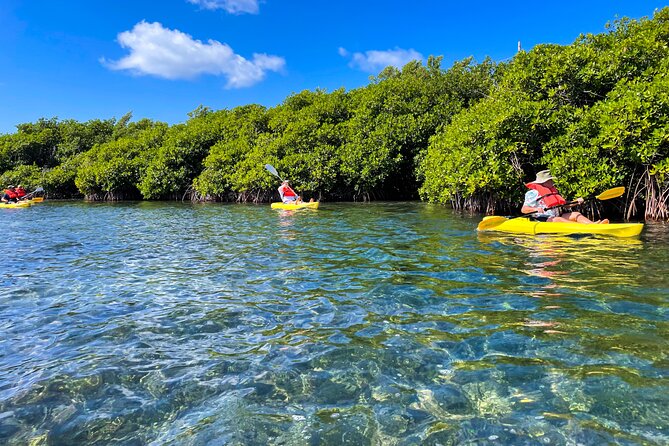 Full Day Clear Kayak Rental Grand Turk - Why Grand Turk’s Sheltered Inlets Beat Open-Water Kayaking