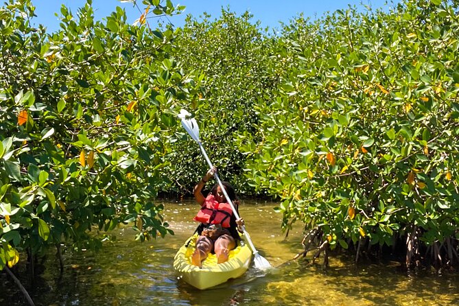 Full Day Clear Kayak Rental Grand Turk - Clear Kayak Views and Wildlife: What You Should Watch For