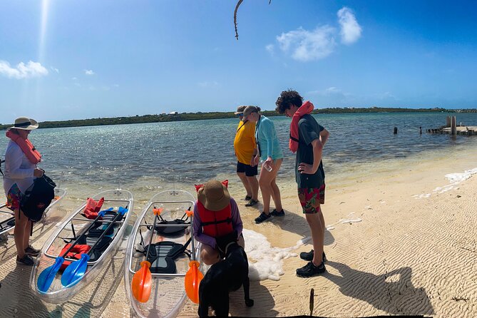 Full Day Clear Kayak Rental Grand Turk - Price and Value: Is $58 Fair for a Guided Clear Kayak?