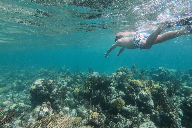 Full Day Cruise from Providenciales with Snorkeling and BBQ Lunch - Ft George Cay BBQ Lunch: The Beach-Time Part You Will Remember