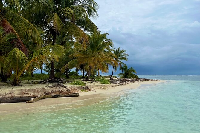 Full-Day Private Catamaran, Turks and Caicos Cruise - Little Water Cay, and the Iguana Island Detail