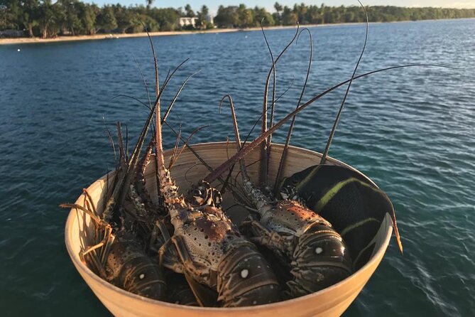 Full-Day Private Catamaran, Turks and Caicos Cruise - The Paddle Ride and Initiation Moment, Small Time With Big Fun Potential