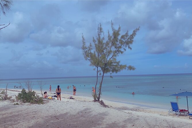 Fun day at Private Beach Bar&Grill/Grand Turk - Pillary Beach, horses, and kayaks in one tight 2.5-hour plan