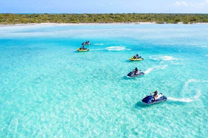 Ghost Freighter Seafari ( abandoned shipwreck) - Half Moon Bay and Iguana Island: The Wildlife Stop That Changes the Mood