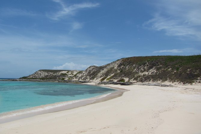 Gibbs Cay Stingray and Conch Dive Adventure - Key Points at a Glance