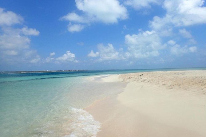 Gibbs Cay Stingray and Conch Dive Adventure - Snorkeling and Sea Life Moments You May Get Along the Way