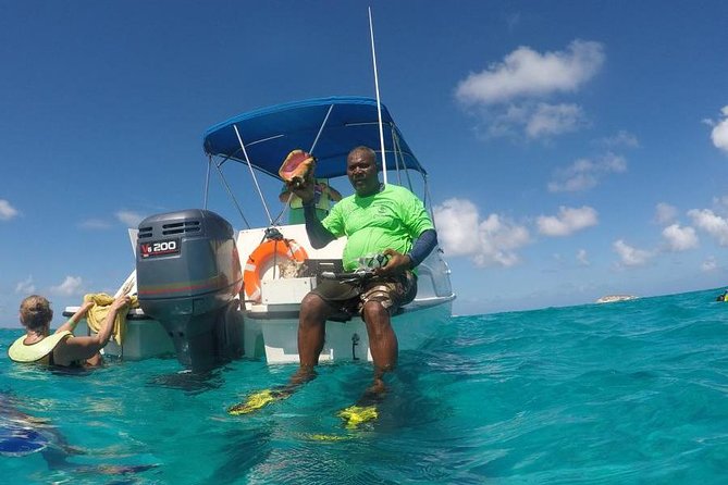 Gibbs Cay Stingray and Conch Dive Adventure - What the Small Group Size Changes, Up Close