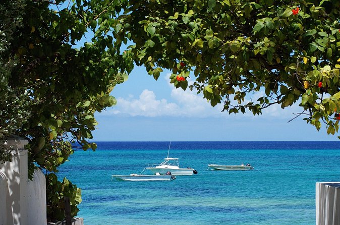 Grand Turk Historical Sightseeing Tour by Tram - Why This Tram Tour Works on a Cruise Day