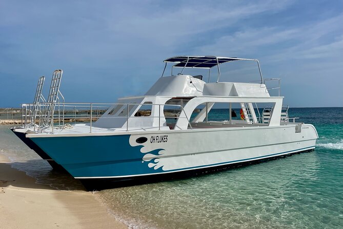 Grand Turk: Whale Watching - On Board Marine Lessons: Hydrophone and Rum Punch Moments