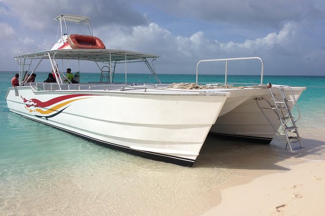 Grand Turk: Whale Watching - It Feels Better When the Group Is Small