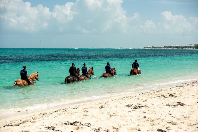 Group Beach and Ocean Horseback Adventure in Providenciales - Why Providenciales Ocean Horseback Feels Different From Typical Rides
