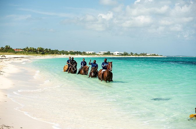 Group Beach and Ocean Horseback Adventure in Providenciales - Orientation, Safety Gear, and What the Guides Actually Do