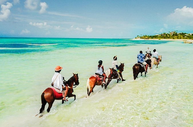 Group Beach and Ocean Horseback Adventure in Providenciales - The Beach Ride: Sand, Sea Breeze, and No Trail Detour