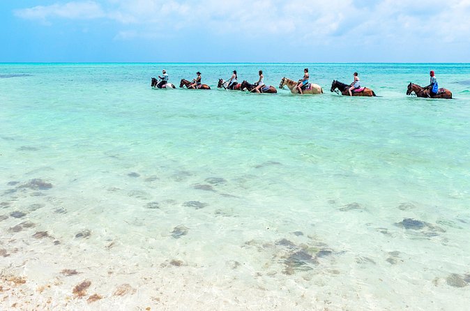 Group Beach and Ocean Horseback Adventure in Providenciales - Wading Into the Water: What Ocean Riding Feels Like