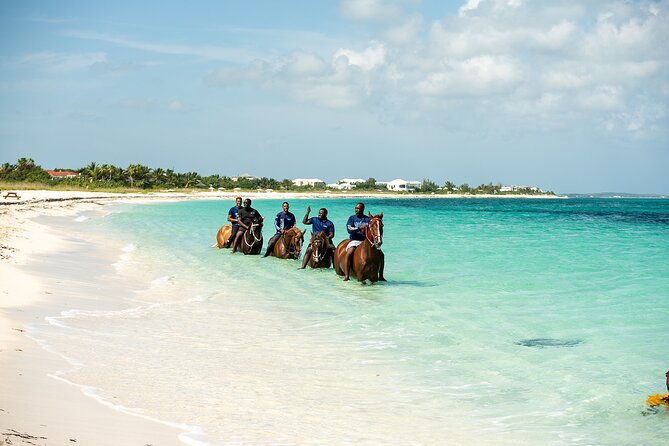 Group Beach and Ocean Horseback Adventure in Providenciales - How Long You’ll Ride and What a 1-Hour Plan Means