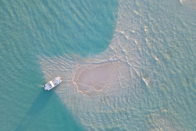 Group Reef, Beach and Sandbar Tour from Providenciales - Key highlights worth paying attention to