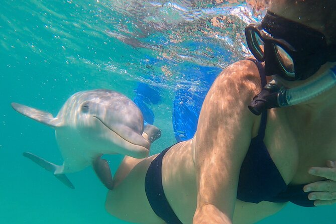 Group Reef, Beach and Sandbar Tour from Providenciales - Pine Cay sandbar at Sand Dollar Cove, the shallow-water payoff