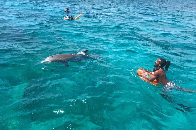 Group Reef, Beach and Sandbar Tour from Providenciales - Lunch, drinks, and the return to Grace Bay with the right energy