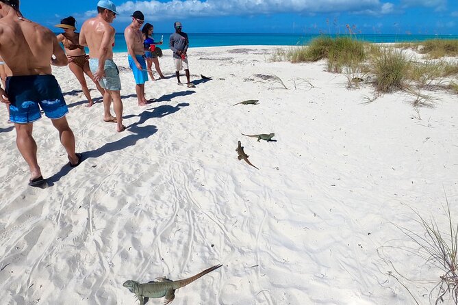Group Reef, Beach and Sandbar Tour from Providenciales - Crew and safety: why the small-group feel matters on a max 50 tour