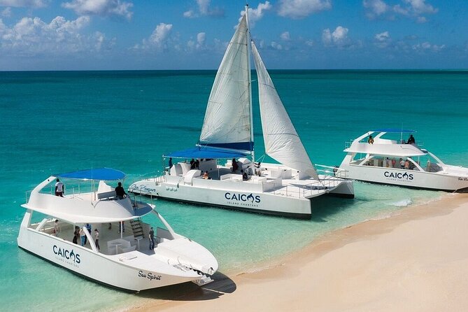 Half Day Private Boat Tour in Caicos Island - Price, Group Size, and How to Judge Value for Your Party