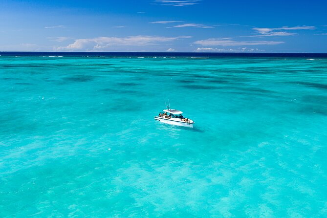 Half Day Private Luxury Axopar Charter in Turks & Caicos - Grace Bay Time: Snorkel on a World-Class Reef