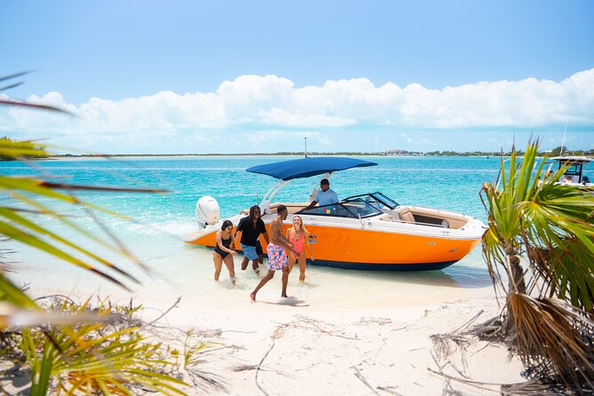 Half Day Private Sun and Snorkel exploring the Turks and Caicos - Iguana Island and Wildlife Watching, Not Just More Swimming