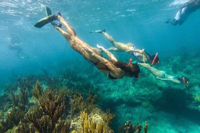 Half Day Snorkel from Providenciales with Visit to Half Moon Bay - Price and Value: Is $140 a Good Deal for Turks and Caicos?