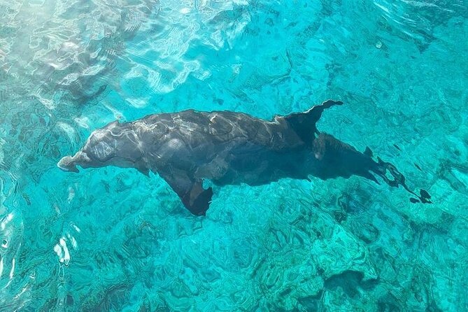 Half Day Snorkeling, Sightseeing & Island Hopping Private Charter - The crew is the product here, and that shows in the reviews