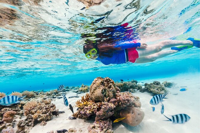 Half Moon Bay Jet Ski Tour & Snorkeling the La Famille Shipwreck - The value question: $470 per group up to 2, and why it can be fair