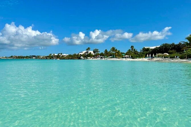 Jet Ski Adventure to Split Rock, Pirates Cove, Iguana Bay Cay - Stop 2: Iguana Bay Cay and the rock iguana factor
