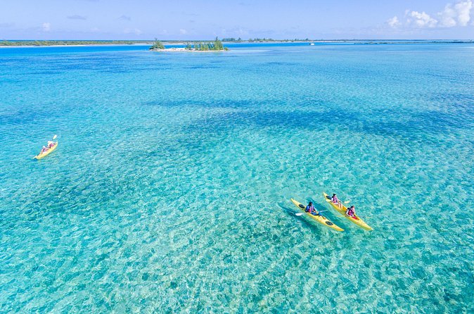 Kayak Eco Tour - What You’ll Do: Paddling, Walking, and Then Swimming