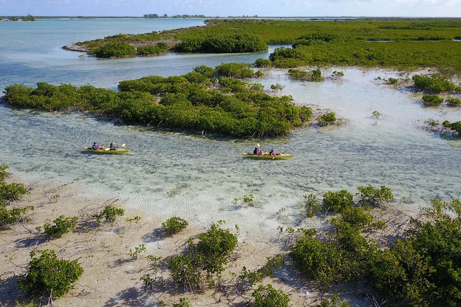 Kayak Eco Tour - Stop 1 at Big Blue Collective: The Eco Tour Route You’re Buying