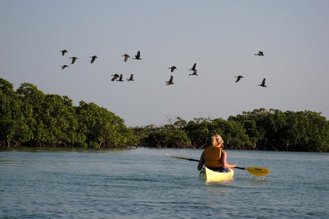 Kayak Eco Tour - What’s Included on the Water (So You Don’t Overpack)