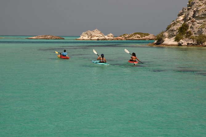 Kayak Eco Tour - Pricing and Value: What $296 Covers and Why It Matters