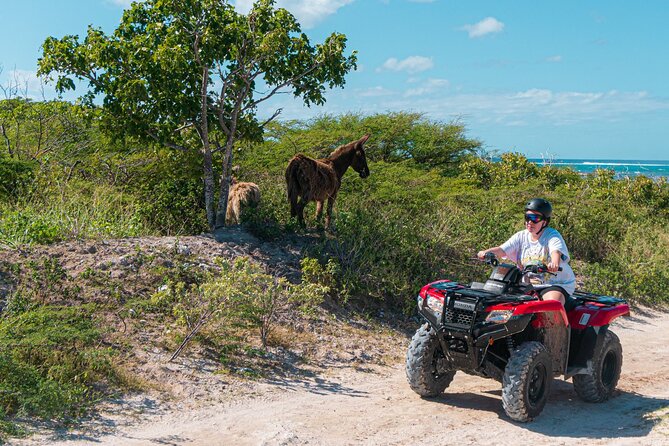 Lets Ride Adventures ATV Tour in Grand Turk - Getting started: helmets, vests, and what you need to bring