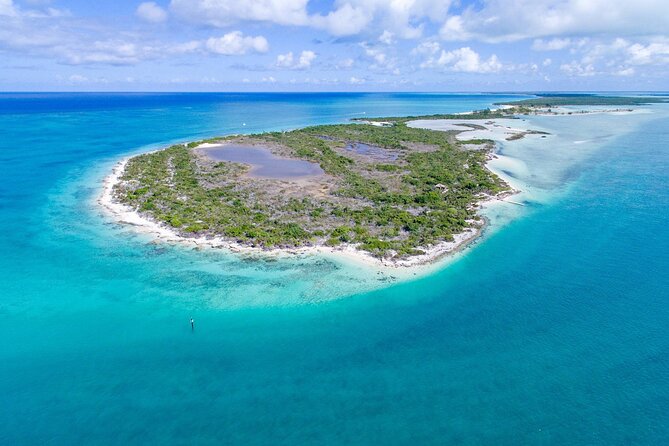 Mangrove Cay and Iguana Island Tours - Key Highlights Before You Go